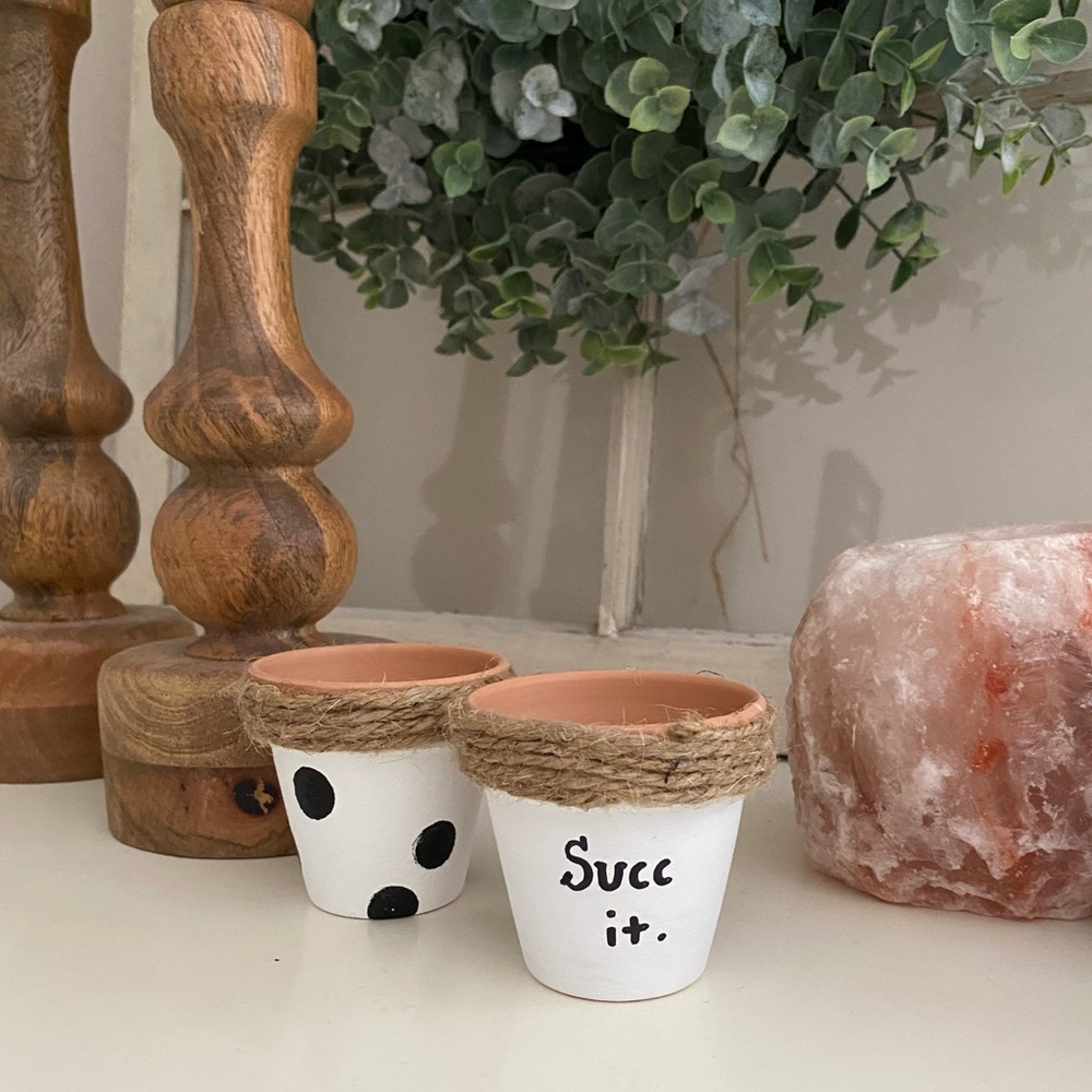 ☀️3/$20 Succ it pun mini flower pot